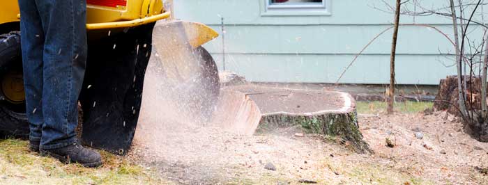 Land Clearing